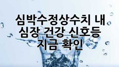 심박수정상수치🚦: 내 심장 건강 신호등, 지금 확인! ❤️